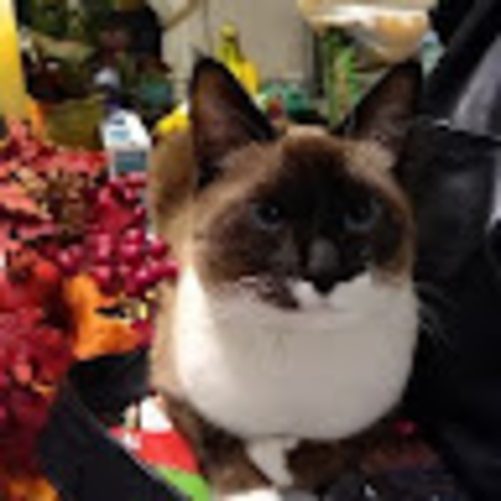 Meet your Posher, Genevieve